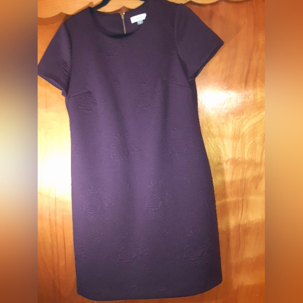 Women's Dress